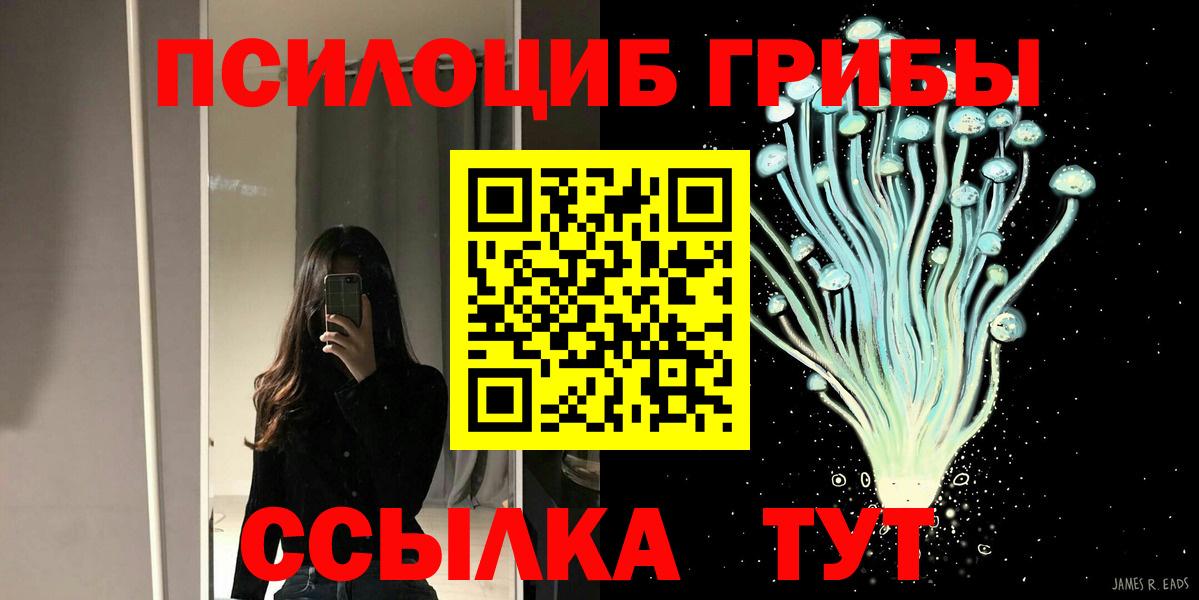 Галлюциногенные грибы мицелий Дагестанские Огни